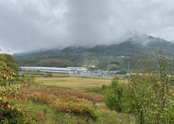 Ahmed Hrustanović: Opet sam sanjao onaj naš juli