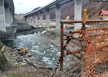 Kineska kompanija kažnjena sa 200 hiljada eura zbog uništavanja Tare