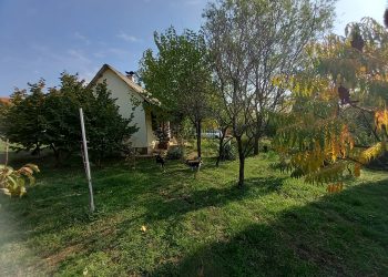 Angelina besplatno daje plac: Imanje sa dvije kuće kod Beograda ustupiće uz dva uslova