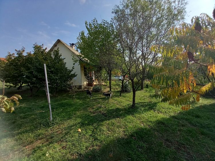 Angelina besplatno daje plac: Imanje sa dvije kuće kod Beograda ustupiće uz dva uslova