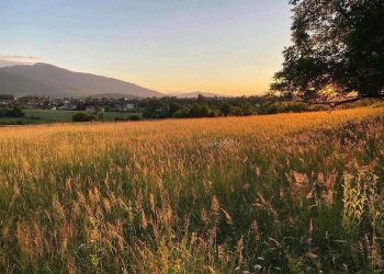 Gledam ovu zemlju pred sobom, bosanska i dabome hercegovačka…