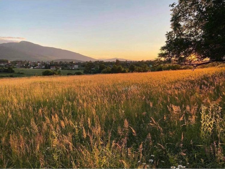 Gledam ovu zemlju pred sobom, bosanska i dabome hercegovačka…