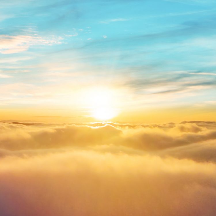 Wizz Air nudi sto hiljada besplatnih sjedišta za ukrajinske izbjeglice