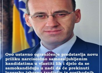 Ramiz Salkić pojasnio razlog nekandidovanja za potpredsjednika