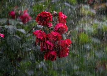 Od danas poslijepodne vrućine idu na pauzu