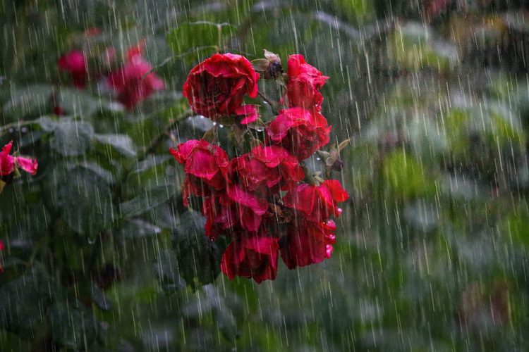 Od danas poslijepodne vrućine idu na pauzu