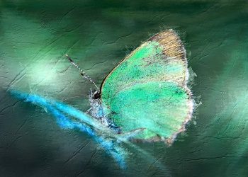 Rani pubertet – zbog čega se dešava i kada reagovati