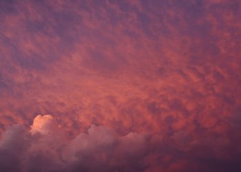 Evo šta sve znače riječi: Allah te nagradio svakim dobrim