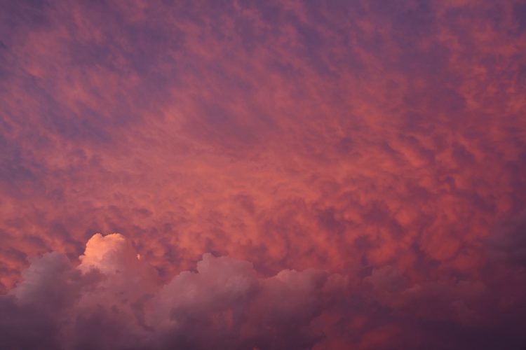 Evo šta sve znače riječi: Allah te nagradio svakim dobrim