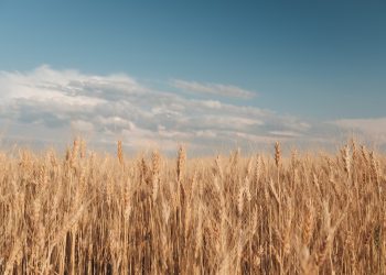 Stigla nam je klimatološka jesen: Pročitajte prognozu za naredne dane