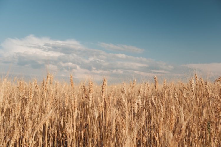 Stigla nam je klimatološka jesen: Pročitajte prognozu za naredne dane