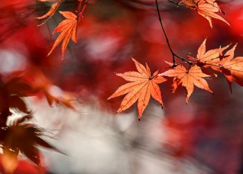 Uživajte u prvim jesenjim i toplim danima