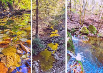 Nastavak izgradnje planinarsko-biciklističke staze Fojnica
