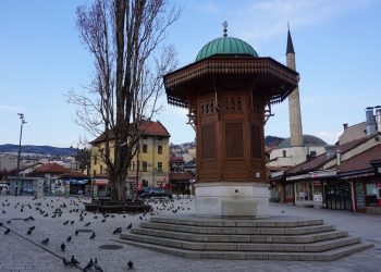 Džunzović: Bošnjaci su politički organizirani muslimani u Evropi, za neke je to nedopustivo