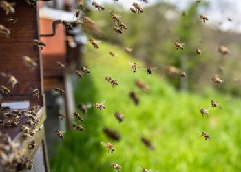 Šta je toksična pozitivnost i koje su to njene zamke? (Drugi dio)