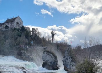 Amina Mujela – Botić: Učimo od malih nogu da bol treba izbjegavati