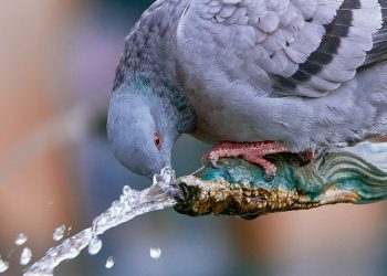 Povratak vrelina i sušni period – stiže i saharski pijesak