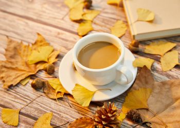 Počinje edukativni program za žene u Tuzli – Lijepa riječ