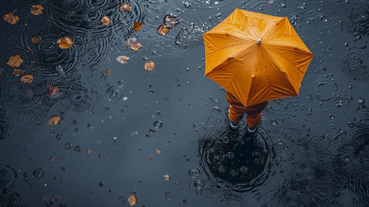 U drugoj polovini novembra lokalno veće količine padavina